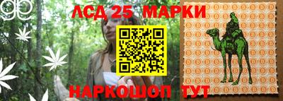 mdma Новодвинск