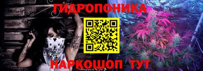 эйфоретик Новокубанск