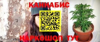 mdma Новодвинск