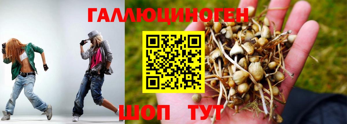 Псилоцибиновые грибы ЛСД Тосно