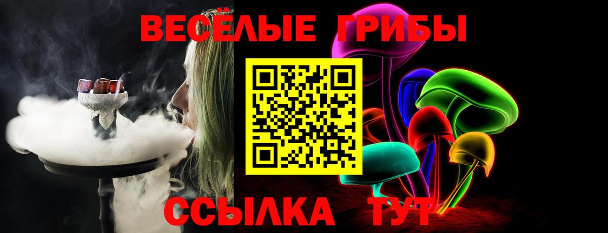 Галлюциногенные грибы Psilocybine cubensis  Вход с VPN  Тосно 