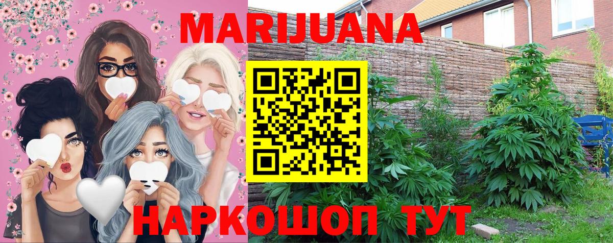 Канабис Ganja  МАРИХУАНА ГИДРОПОН  Канабис MAZAR  Марихуана план  Тосно  Вход с VPN 