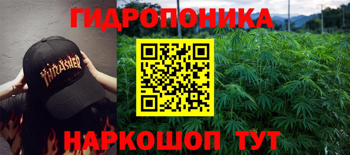 МАРИХУАНА конопля Тосно